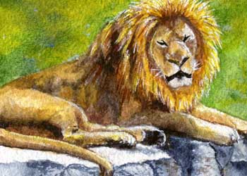 "Sleepy Lion" by Beverly Larson, Oregon WI - Watercolor - SOLD